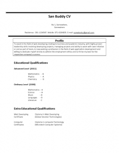 Figure 1: What CV will look like
