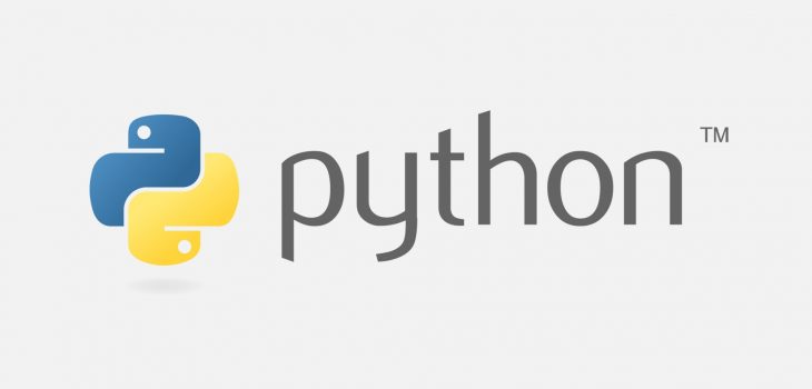 Change python version correctly